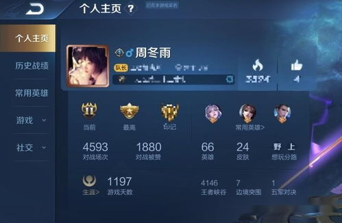 以闪亮之名安卓版 (图3)