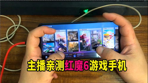 神雕狩猎模拟游戏安卓手机版安装 (图3)