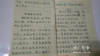 游戏我们的最爱作文,我们的最爱(图2)