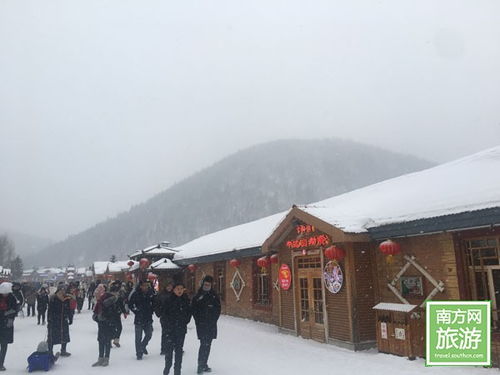 雪乡游戏(图2) 雪乡游戏(图2)
