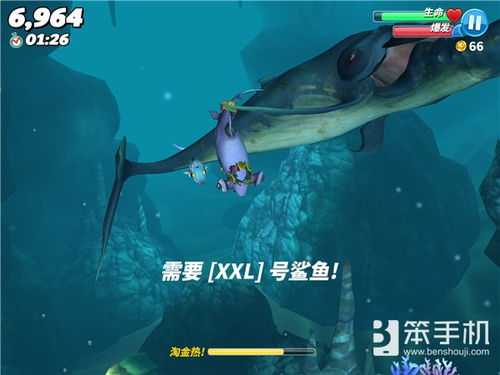 小游戏鲨鱼,鲨鱼大冒险(图1) 小游戏鲨鱼,鲨鱼大冒险(图1)