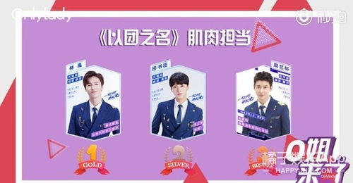 选男团游戏,成就音乐巅峰传奇(图3) 选男团游戏,成就音乐巅峰传奇(图3)