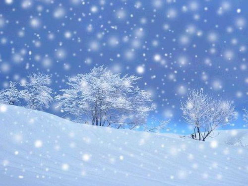 雪花飘飘游戏教案,寓教于乐的冬季主题活动教案解析(图1) 雪花飘飘游戏教案,寓教于乐的冬季主题活动教案解析(图1)