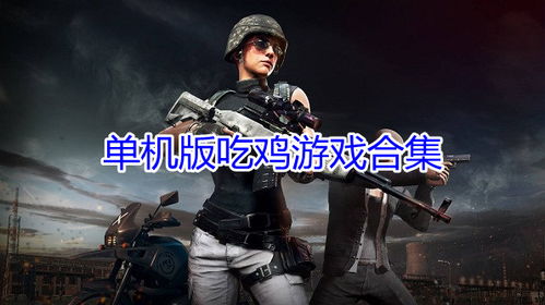 单机游戏吃鸡下载,体验独享的吃鸡乐趣(图2) 单机游戏吃鸡下载,体验独享的吃鸡乐趣(图2)