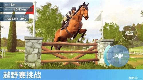 选马匹游戏,揭秘马匹游戏中的智慧与策略(图1)