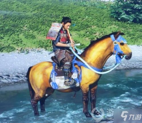 选马匹游戏,揭秘马匹游戏中的智慧与策略(图3)
