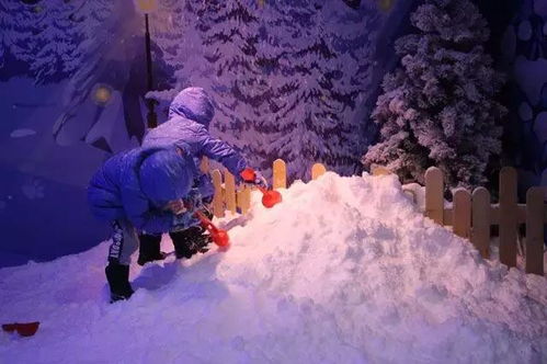 雪球滑梯游戏,挑战极限的冰雪冒险之旅(图1) 雪球滑梯游戏,挑战极限的冰雪冒险之旅(图1)