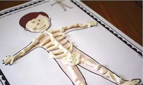 学器官游戏,学器官游戏趣味科普之旅(图1)