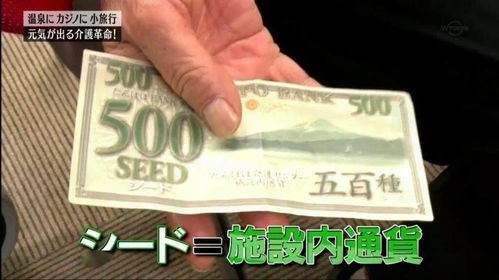 金种子游戏币(图2) 金种子游戏币(图2)