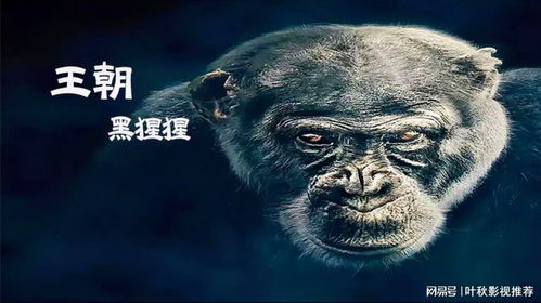 猩猩的游戏(图1) 猩猩的游戏(图1)