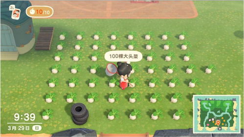 关于动物的游戏名字,趣味盎然的动物游戏世界探险记(图2) 关于动物的游戏名字,趣味盎然的动物游戏世界探险记(图2)