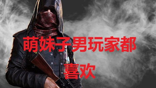 性别男游戏,探索游戏世界的激情与挑战(图2)