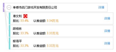 孝感游戏公司,打造本土游戏产业的璀璨明珠(图2) 孝感游戏公司,打造本土游戏产业的璀璨明珠(图2)