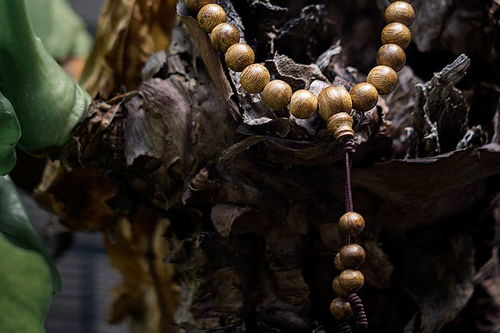 心有沉香游戏,探寻神秘古墓的奇幻冒险之旅(图1) 心有沉香游戏,探寻神秘古墓的奇幻冒险之旅(图1)