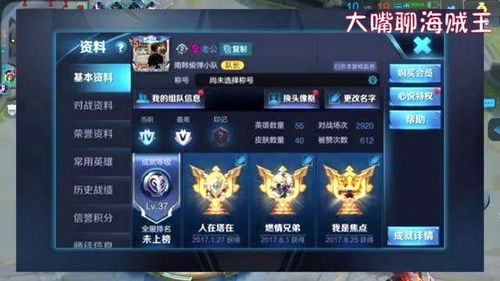 有没有荣耀这个游戏,探寻游戏世界的荣耀与激情(图1)