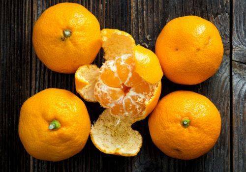 种桔子游戏叫什么,体验丰收喜悦的虚拟田园之旅(图3) 种桔子游戏叫什么,体验丰收喜悦的虚拟田园之旅(图3)