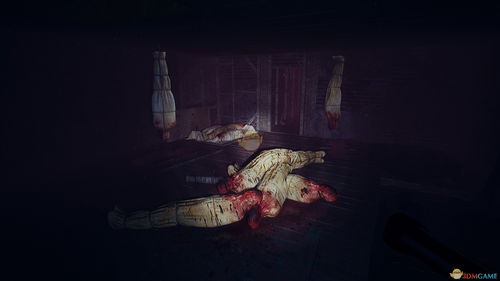 凶宅游戏视频,惊悚视频背后的恐怖真相(图1) 凶宅游戏视频,惊悚视频背后的恐怖真相(图1)