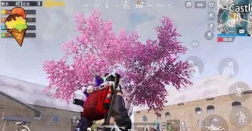 新游戏樱花,梦幻般的游戏世界探险之旅(图2) 新游戏樱花,梦幻般的游戏世界探险之旅(图2)