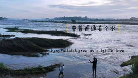 泄洪打游戏,享受欢乐时光(图1) 泄洪打游戏,享受欢乐时光(图1)