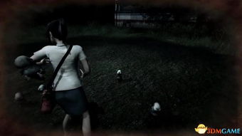 小镇惊魂游戏,揭秘神秘事件的惊悚真相(图2) 小镇惊魂游戏,揭秘神秘事件的惊悚真相(图2)