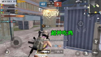 富贵鸡游戏违法吗(图3) 富贵鸡游戏违法吗(图3)