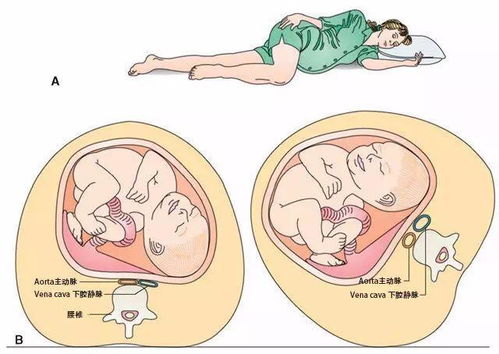 子宫脱出宫交游戏,宫交游戏背后的秘密与启示(图3) 子宫脱出宫交游戏,宫交游戏背后的秘密与启示(图3)