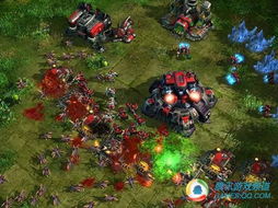 星际争霸游戏平台,荣耀之战(图3) 星际争霸游戏平台,荣耀之战(图3)