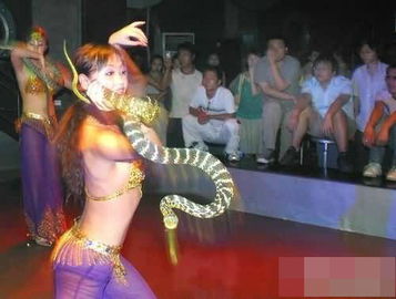 夜总会玩的游戏大全,揭秘热门娱乐项目大盘点(图1)