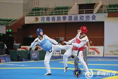 全国跆拳道大赛游戏,荣耀之战(图3) 全国跆拳道大赛游戏,荣耀之战(图3)