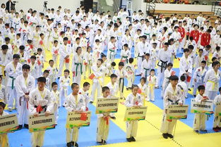 全国跆拳道大赛游戏,荣耀之战(图1) 全国跆拳道大赛游戏,荣耀之战(图1)