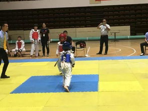 全国跆拳道大赛游戏,荣耀之战(图2) 全国跆拳道大赛游戏,荣耀之战(图2)