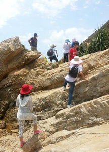 东西冲野外拓展游戏(图2) 东西冲野外拓展游戏(图2)