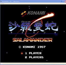 fc好玩的游戏排名,重温那些年我们一起玩过的经典(图1)