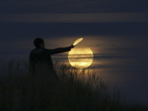 关于月亮的游戏名字,探索神秘月亮世界的奇幻冒险之旅(图1)