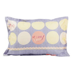 假装枕头游戏,假装枕头游戏的奇幻冒险之旅(图1) 假装枕头游戏,假装枕头游戏的奇幻冒险之旅(图1)