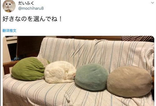 假装枕头游戏,假装枕头游戏的奇幻冒险之旅(图2) 假装枕头游戏,假装枕头游戏的奇幻冒险之旅(图2)