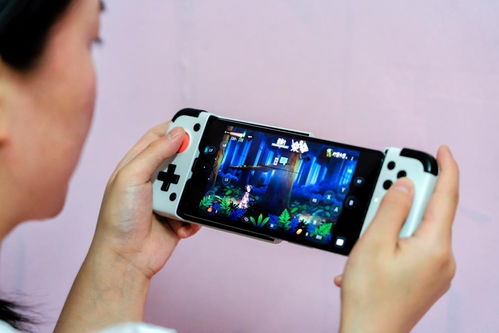 口袋学院物语3安卓原版 (图3) 口袋学院物语3安卓原版 (图3)