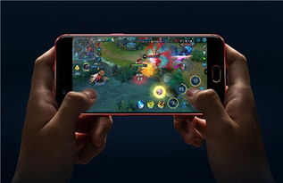 神雕狩猎模拟游戏安卓手机版安装 (图1)