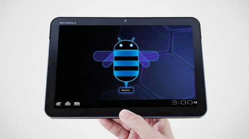 猿辅导安卓平板下载 (图3) 猿辅导安卓平板下载 (图3)