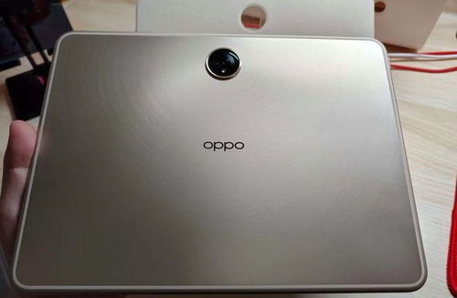 猿辅导安卓平板下载 (图1)