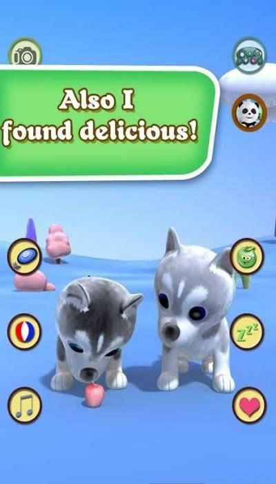 哈士奇萌宠屋 (图1) 哈士奇萌宠屋 (图1)