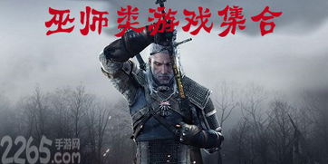 双人小游戏合集 (图1) 双人小游戏合集 (图1)